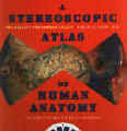 Anatomy Atlas.