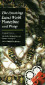 The Amazing Insect World