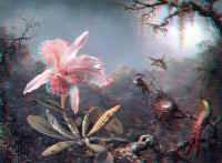 1871 Martin Johnson Heade Cattleya Orchid and Three Brazili.jpg (377560 bytes)