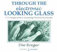 electroniclookingglass.jpg (88850 bytes)