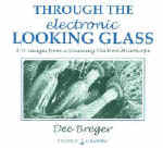electroniclookingglass.jpg (88850 bytes)