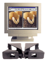 pokescope.gif (38476 bytes)