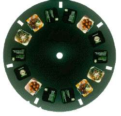 turkeyreel.jpg (19481 bytes)