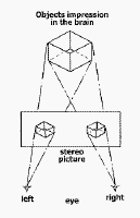 waack.gif (4604 bytes)