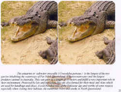 crocpress.jpg (59682 bytes)